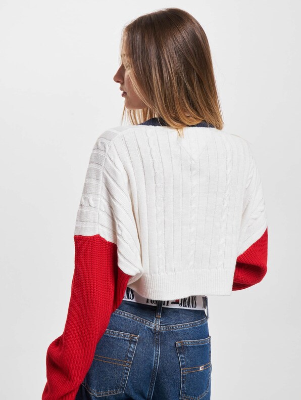 Tommy Jeans Rlxd Crop Archive Sweater-1