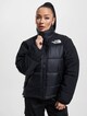 Himalayan Insulated-2