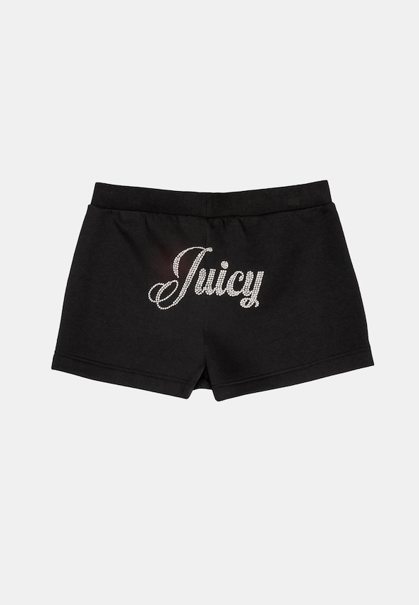 DACH SCRIPT FLEECE -1