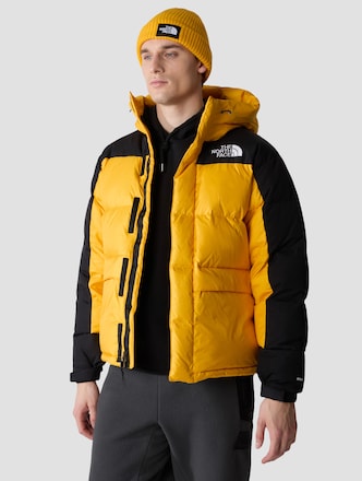 The North Face Hmlyn Down Parkas