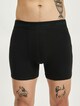Fitz Colour Logo Trunk 3 Pack-1