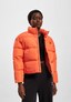 orange_88941