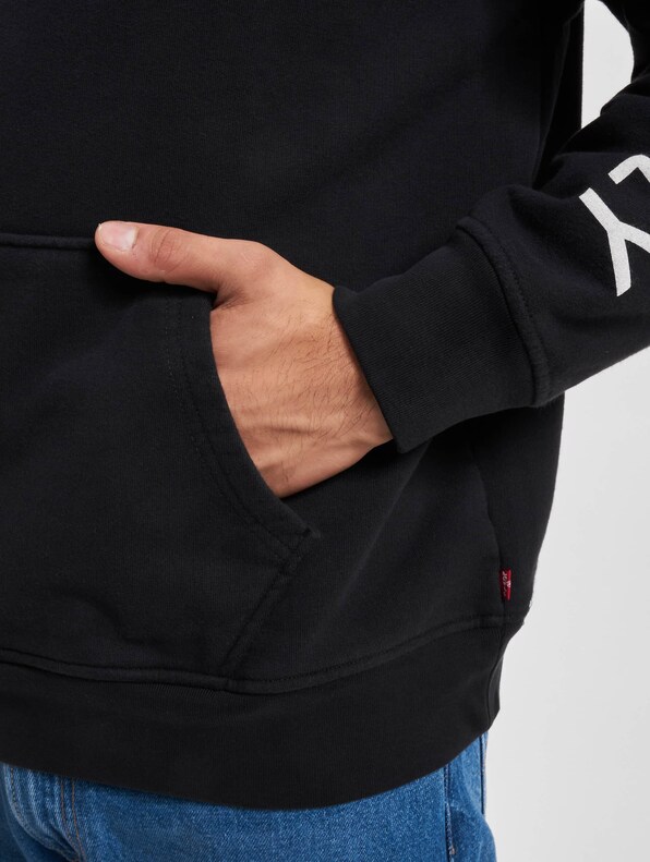 Levis Relaxed Graphic Hoodie-5