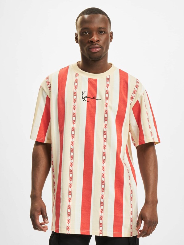 Small Signature Stripe-2