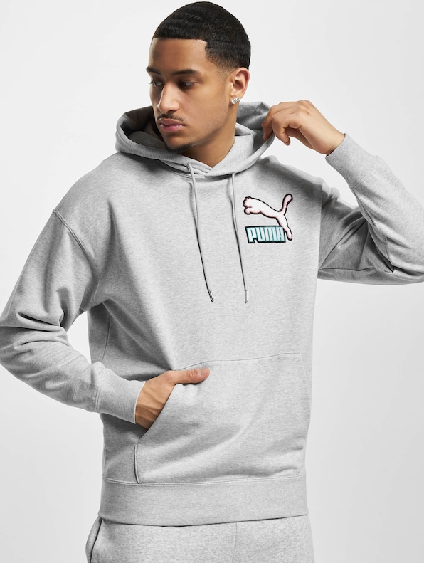 Puma Fandom Puma Hoody-0