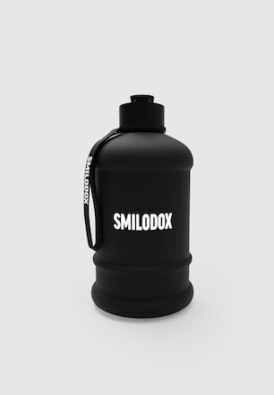 1.3L