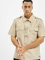 beige_38132
