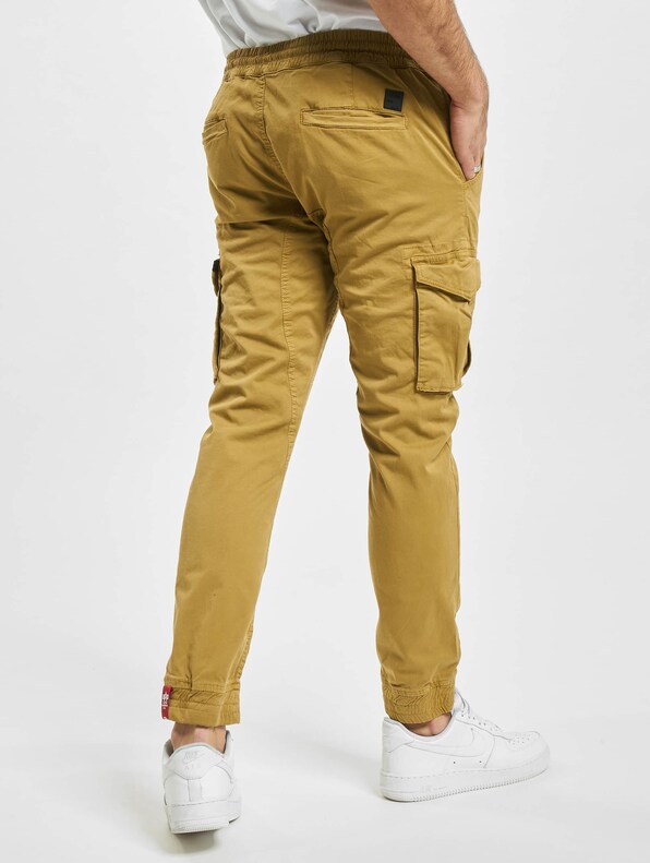 Alpha Industries Cotton Twill Cargohosen-1