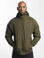 olive_9157