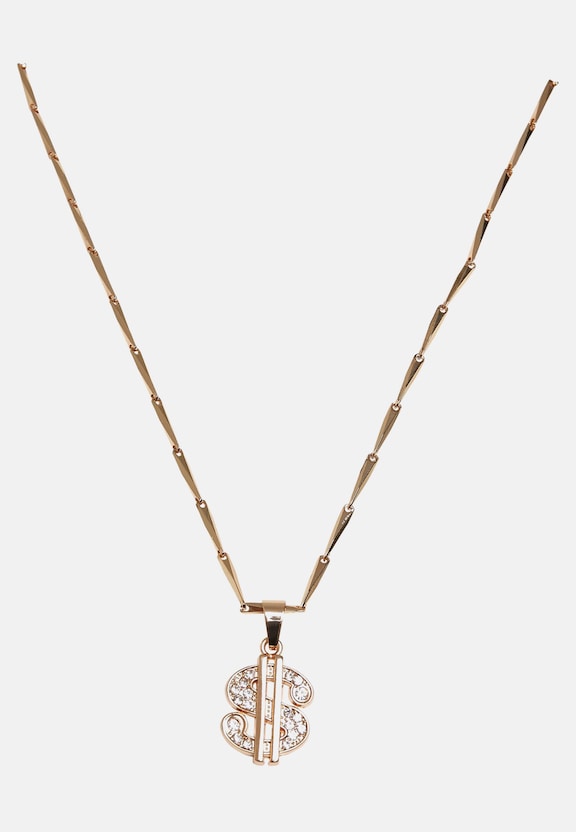 Small Dollar Necklace-0