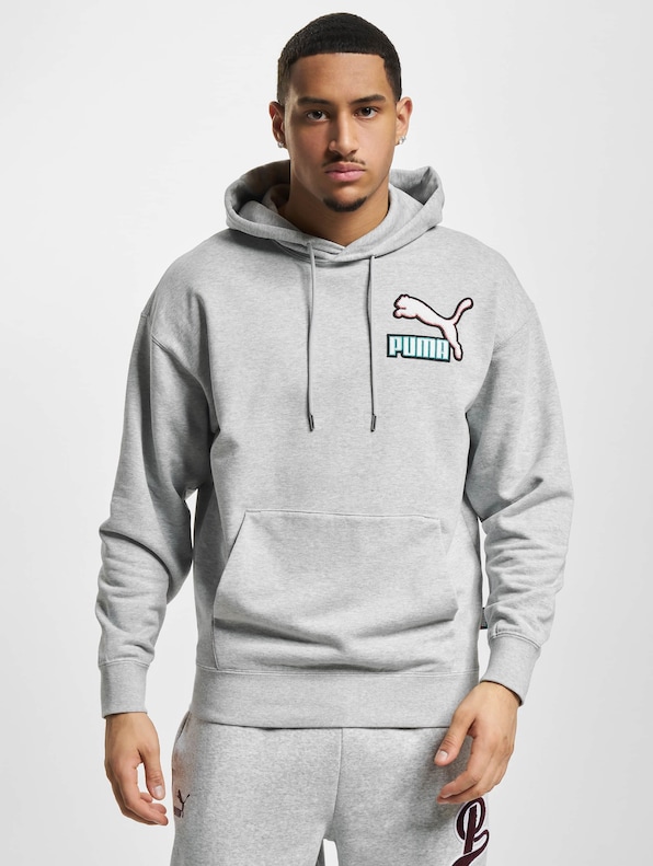 Puma Fandom Hoodie-2