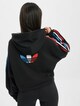 Tricolor-1