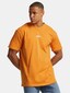 orange_117828