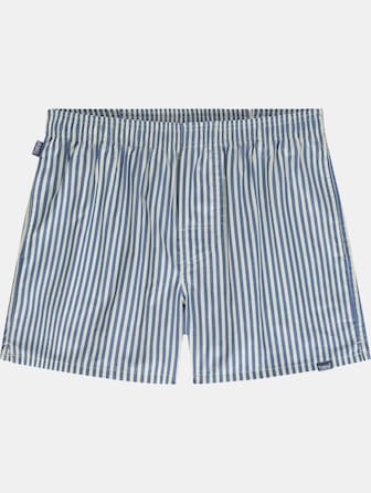Blue Striped