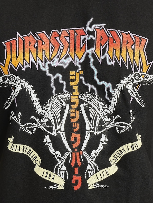 Jurassic Park Rock-3