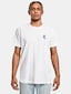 white_133651