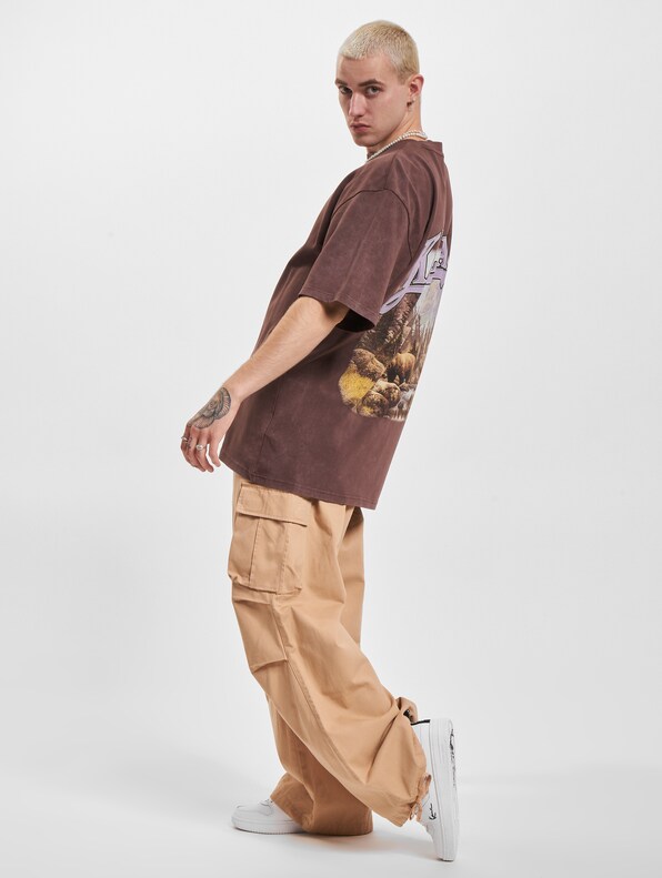 Small Signature Washed Heavy Jersey Landscape-5