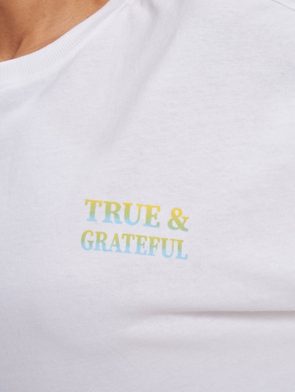 Only Luna Print Top Box T-Shirt Bright White/Grateful-2
