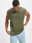 olive_19553