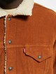 Levis Sherpa Trucker Winterjacke-3