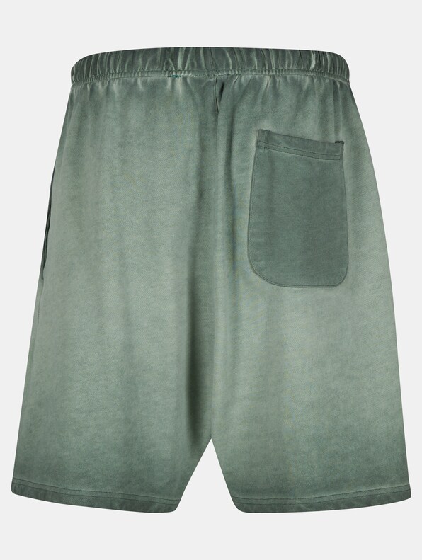 Another Signature Washed Oversized Shorts-5
