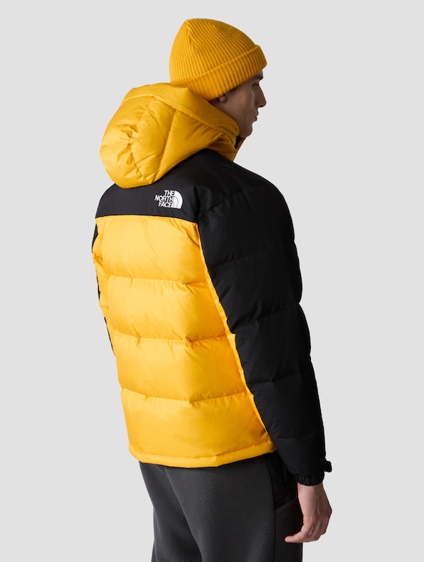 The North Face Hmlyn Down Parkas-1