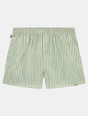 Green Striped 