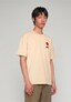 beige_206181