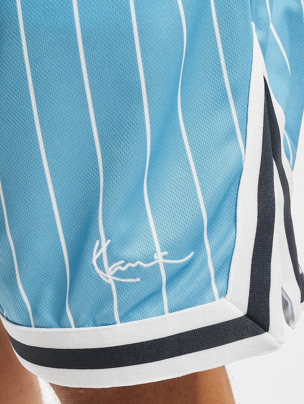 Small Signature Pinstripe Mesh-4