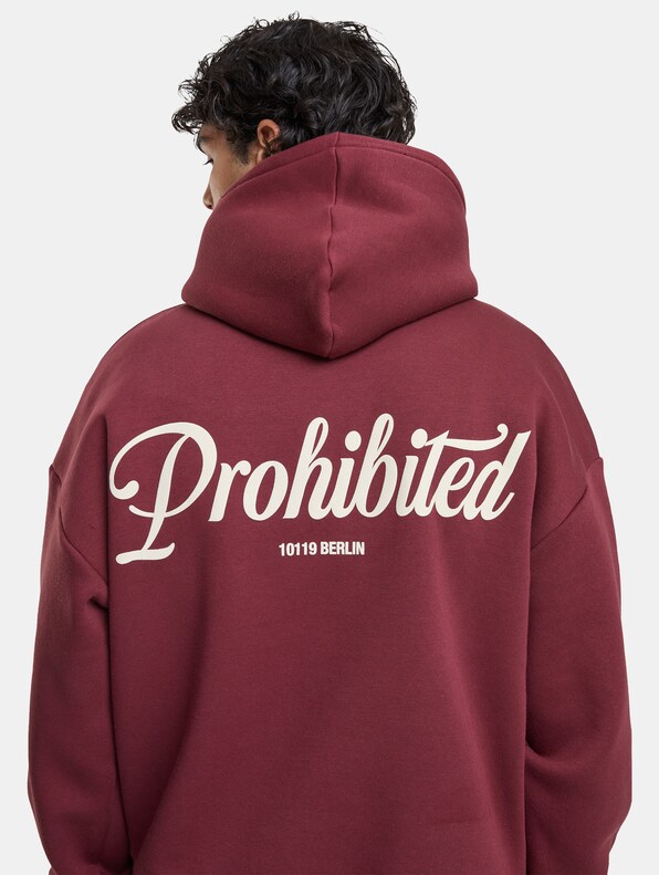 Prohibited V2 Hoodies-4