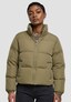 olive_104215