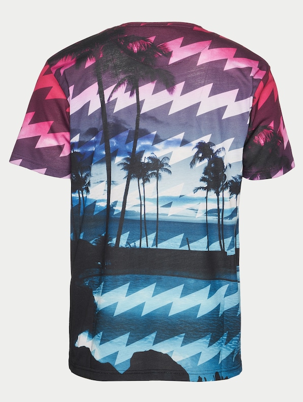 Palm Coast-6