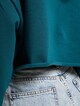 Levi's® Graphic Crop Prism T3 Hoody-4