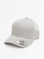 silver_41330