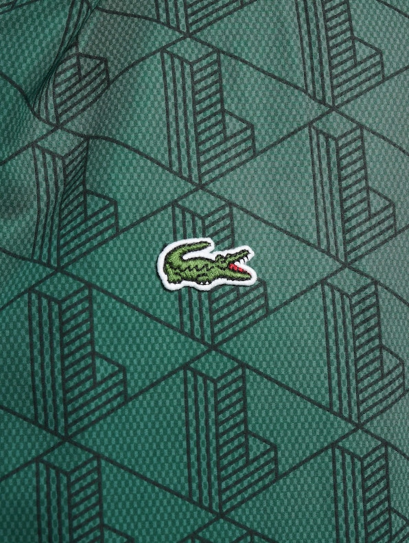 Reversible -5