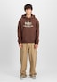 brown_210487
