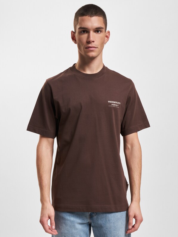 Jack & Jones Ontarioback T-Shirts Crew Neck-2