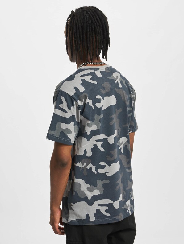 Camo-1