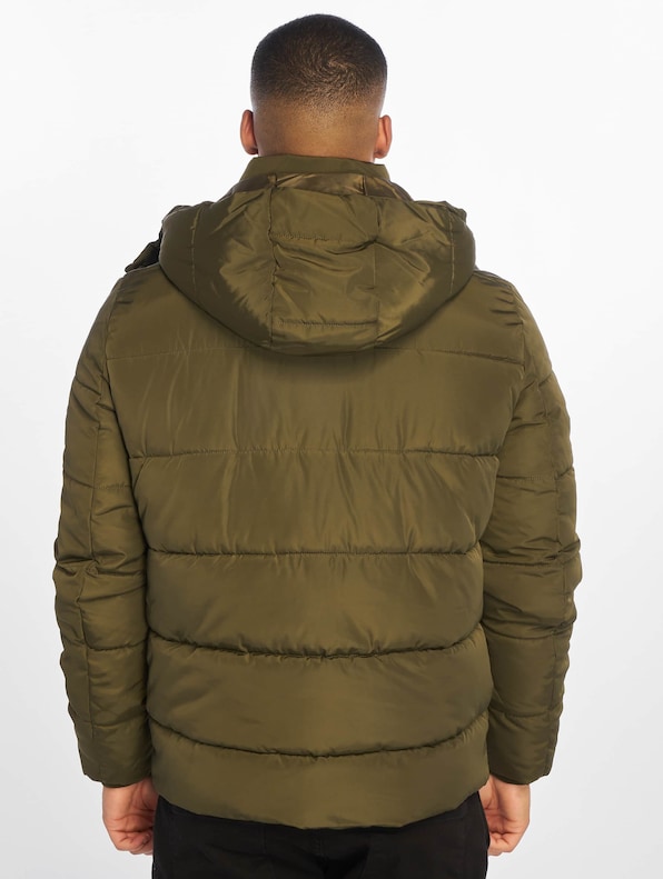 Hooded Puffer-1