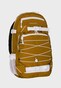 brown_26806