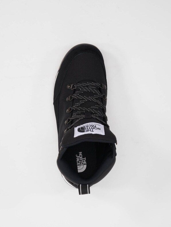 Back-To-Berkeley IV-4