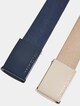 Colored Buckle Canvas 2-Pack-1