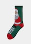 multicolor_4121