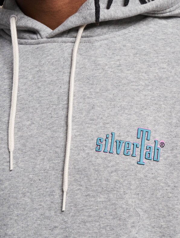 Levis Relaxed Graphic Hoodie-4