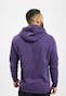violet_32440
