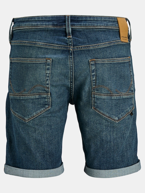 Rick 310 -1