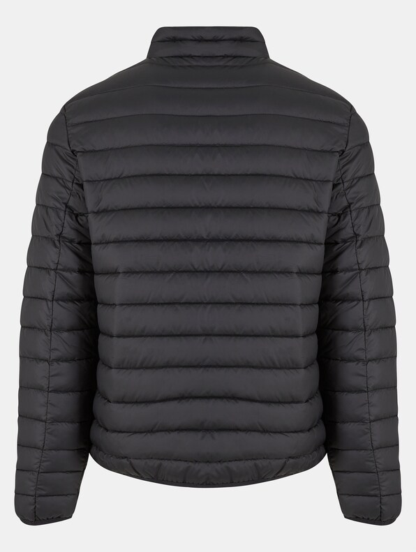 Basic Light Weight -5