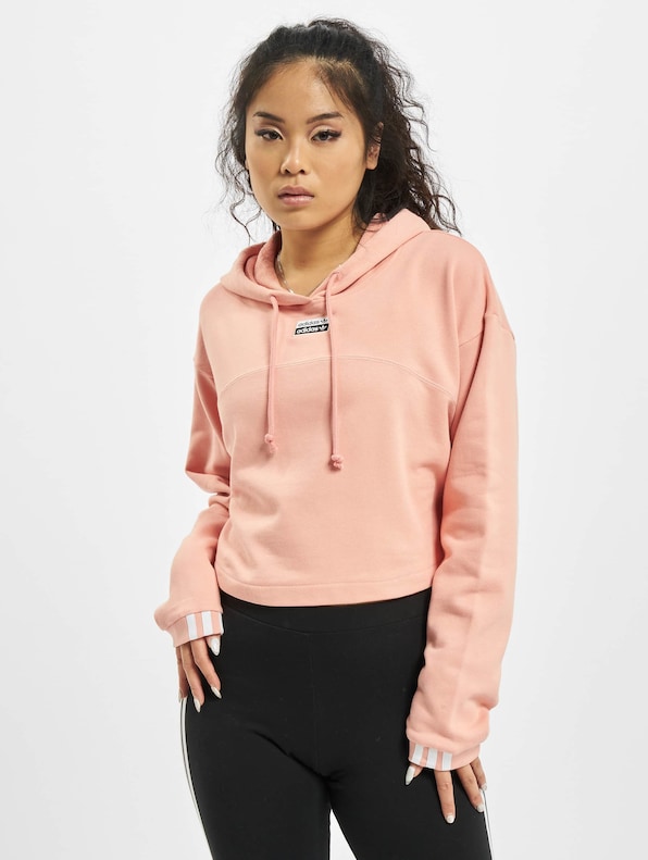 Cropped -2