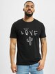 Love Cactus-2