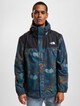 The North Face Übergangsjacke-2